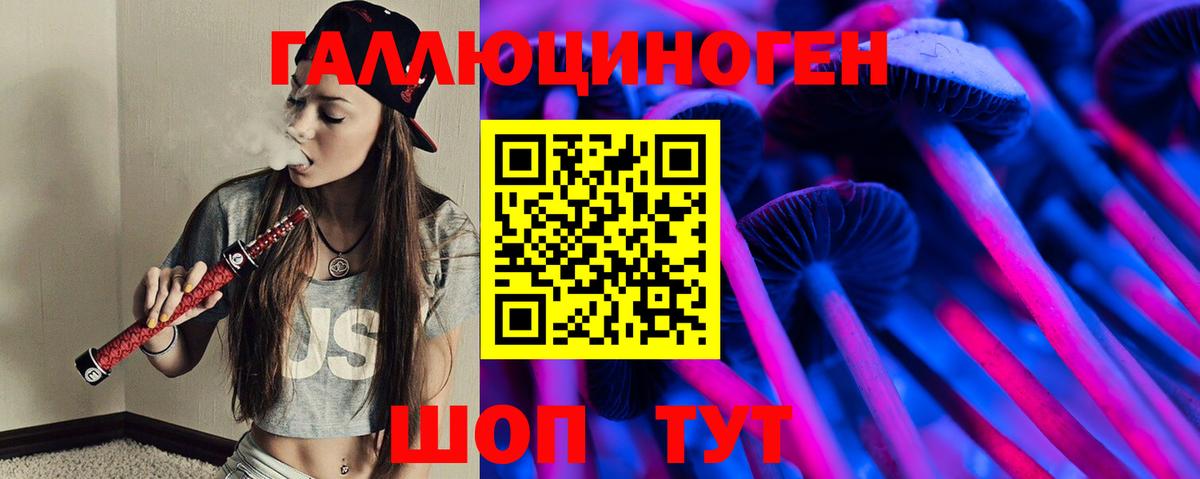 дарнет шоп  Псилоцибиновые грибы GOLDEN TEACHER  Вход с VPN  Елизово 